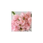 9-Stem Bridesmaid Bouquet in Blush Pink close detail