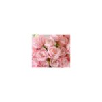 9-Stem Bridesmaid Bouquet in Blush Pink petal detail