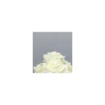 DIY Rose Flower Bundle in Ivory petal detail