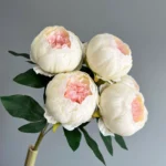 DIY Peony Flower Bundle in Caramel and Cream front view
