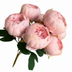 DIY Peony Flower Bundle in Caramel and Cream detail view