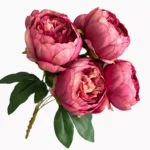 DIY Peony Flower Bundle in Caramel and Cream close-up
